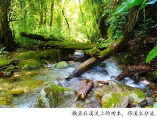 騰沖戶外徒步丨林家鋪，剛好18°C